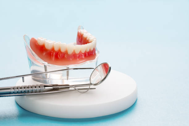 Best Preventive Dentistry  in Gman, IL